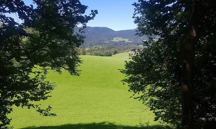 Schwaiger Alm Fischbachau